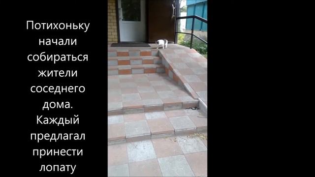 Змея в Радченко фильм смотреть онлайн
