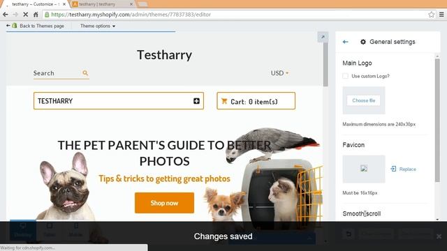 Shopify. How To Replace Favicon смотреть онлайн