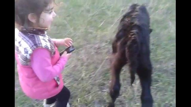 И опять у нас день рождения телёночка!) смотреть онлайн