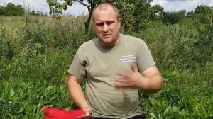 Разработка нового-заросшего участка и с чего начинать