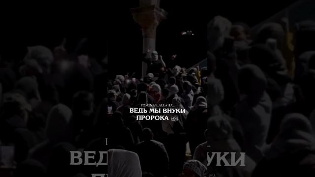 Мечеть аль-Акса - минбар пророков#мечеть #альакса #минбар #пророков #лайк #коментария #поделиться смотреть онлайн