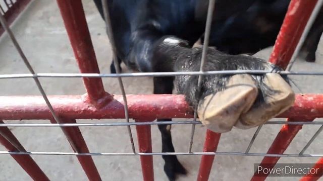 Детки в клетке|Счастливые мгновения и культурный отдых в последний день лета|