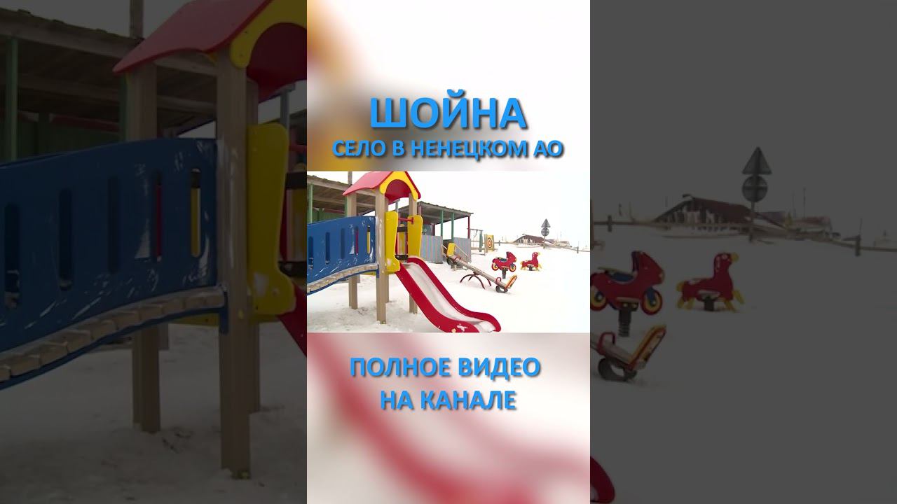 ШОЙНА 2 SHORTS #SHORTS смотреть онлайн