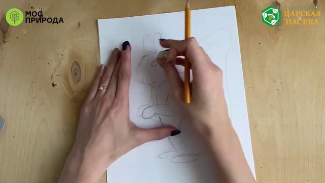 Мастер-класс «Рисуем белку» смотреть онлайн
