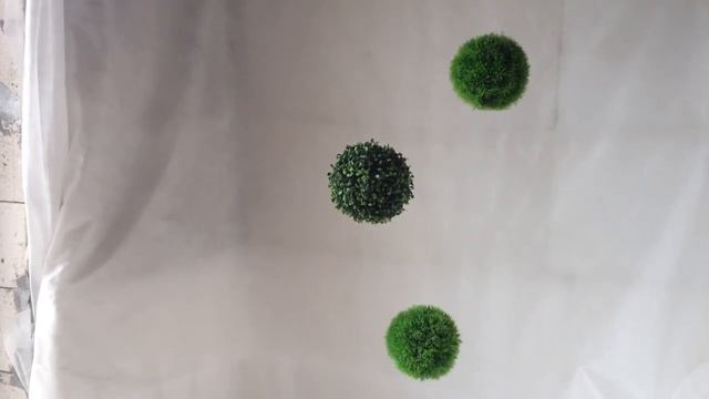 Шар самшит, кохия веничная смотреть онлайн