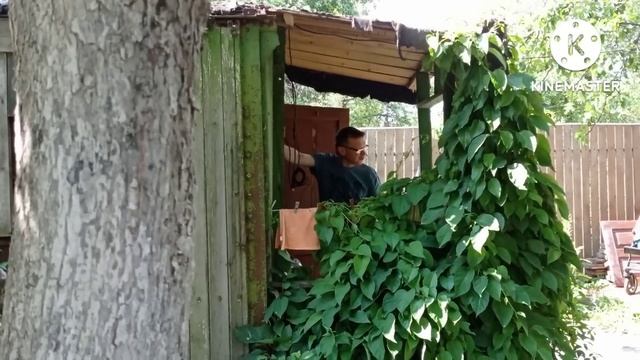 И НА СТАРУХУ БЫВАЕТ ПРОРУХА/Я ДОГОВОРИЛАСЬ/ПОРЯДОК И ОРГАНИЗАЦИЯ/ПИКНИК/СОБИРАЕМ УРОЖАЙ/ДАЧНЫЙ ВЛОГ смотреть онлайн
