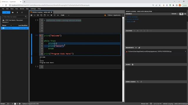 Infinite while loop with break | Crack the Python Coding Interview | Demo on Master Class смотреть онлайн