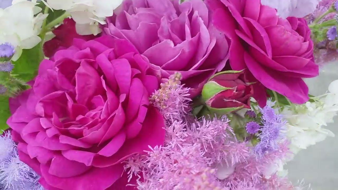 БУКЕТ. Роза Олд Порт и Компаньоны. Релакс розолюба... смотреть онлайн