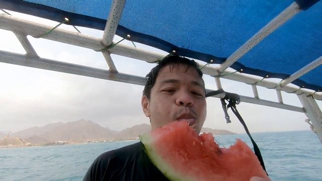 Scuba Diving Fujairah | Dibba Rock | UAE Holidays 2020 смотреть онлайн