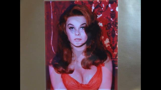 HOLLYWOOD GLAMOUR TRIBUTE #109- ANN-MARGRET (1941-)