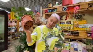 Стефанотис и Стефанотис Альпина. Сравниваем два сорта