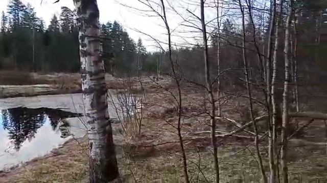 Разлив реки Березайка . смотреть онлайн