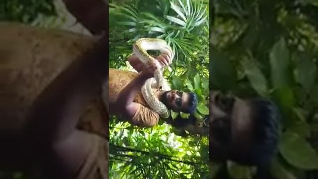Superb python смотреть онлайн