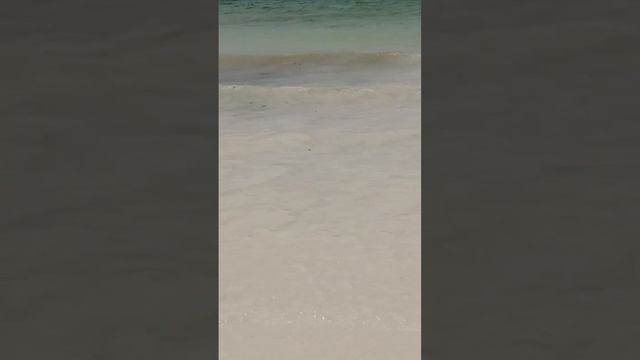 #hydrotherapy #africa #coast #indianocean смотреть онлайн