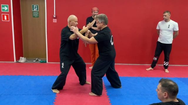 Московская Школа Ицюань-2021 / Ицюань Туйшоу / Yiquan Push Hands (1) смотреть онлайн