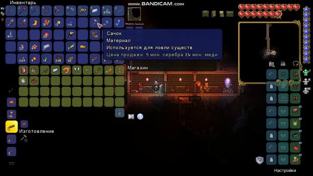 Как призвать кота в Terraria смотреть онлайн