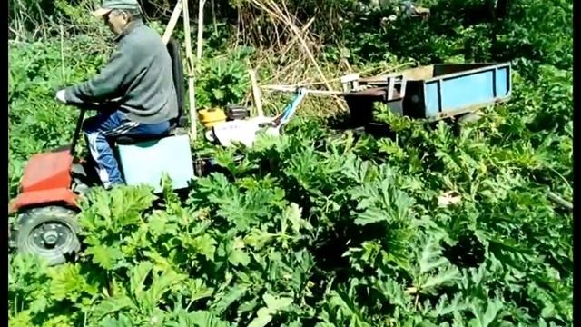 Минитрактор из мотоблока. Перевозка дров смотреть онлайн