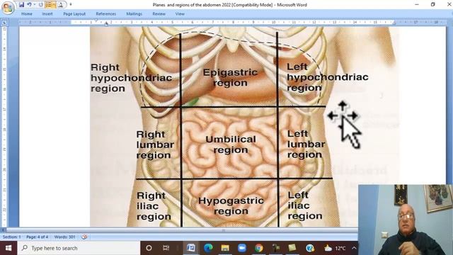 Anatomy GIT Module in Arabic 18 ( Abdominal planes and regions ) , by Wahdan смотреть онлайн