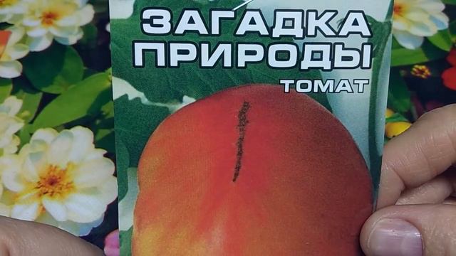 ТОМАТЫ на СЕЗОН-2021.Мой ВЫБОР семян. смотреть онлайн