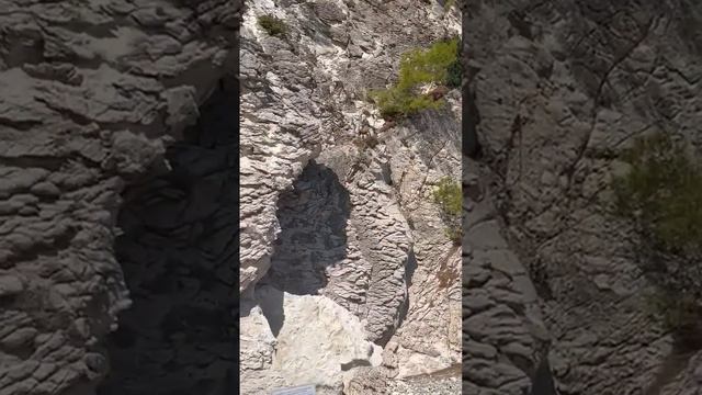 горные козлы!)))))) смотреть онлайн