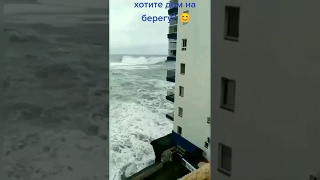 хотите дом на берегу океана!? смотреть онлайн