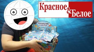 Подводное царство из КБ!