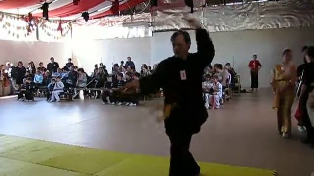 тайцицюань 51 форма, меч, эмейская школа смотреть онлайн