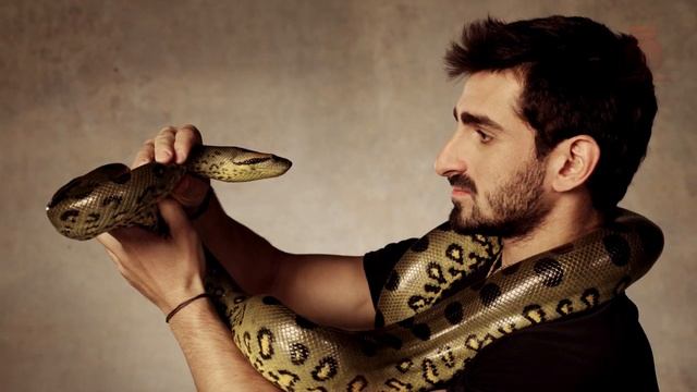 5 САМЫХ ЖУТКИХ НАПАДЕНИЙ ЗМЕЙ В ИСТОРИИ смотреть онлайн