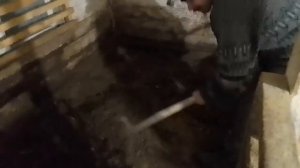 Несменяемая подстилка для свиней. КАК ЧАСТО ПОДСЫПАТЬ?