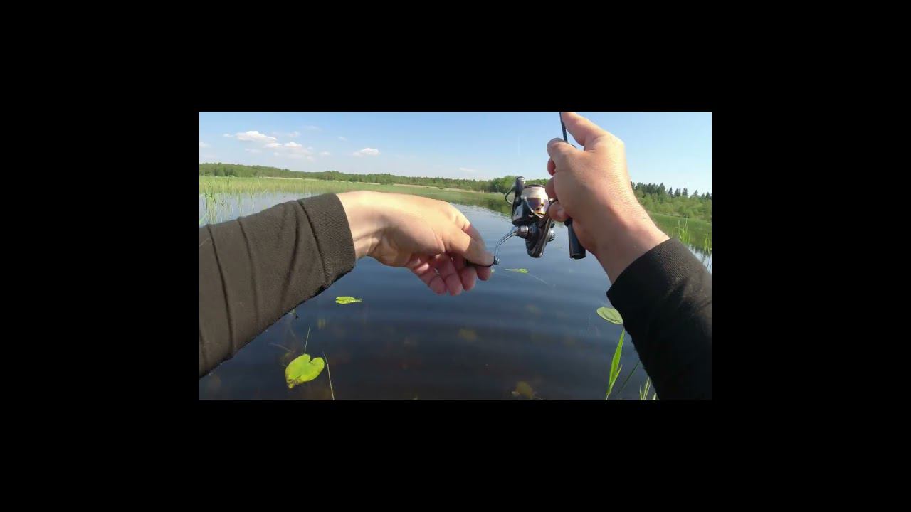 #мормышинг | Опять монстр рвет шнур #02 | смотреть онлайн