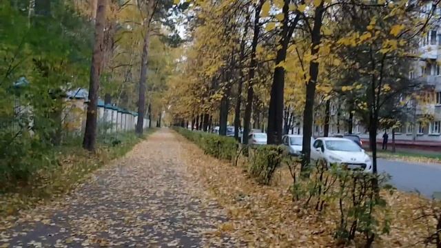 Сибирские просторы. Осеннее утро. смотреть онлайн