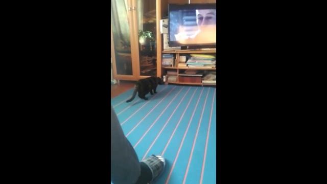 После горохового супа