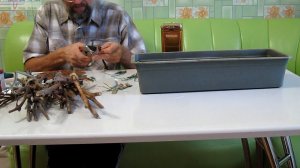 Подготовка черенков винограда к проращиванию.Как нарезать черенки винограда