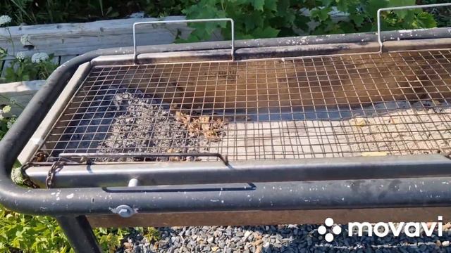 БЕЖЕНЦЫ ИЗ УКРАИНЫ В НОРВЕГИИ🇧🇻АНОМАЛИЯ ВОДА В МОРЕ+23°🏝️STAVANGER НАШЛИ ПЛЯЖ🏖️ смотреть онлайн