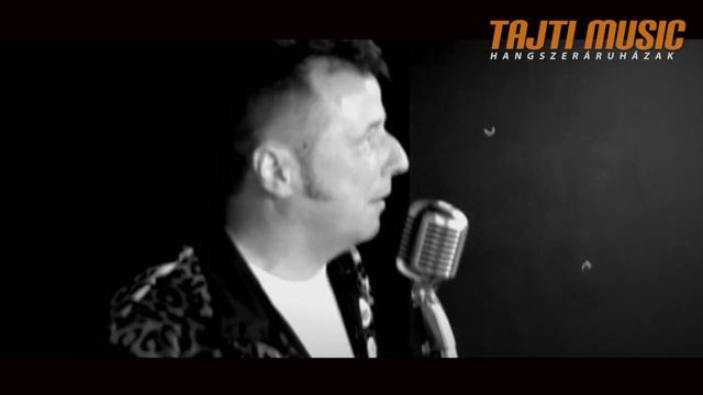 Shure 55SH Series II dinamikus énekmikrofon смотреть онлайн