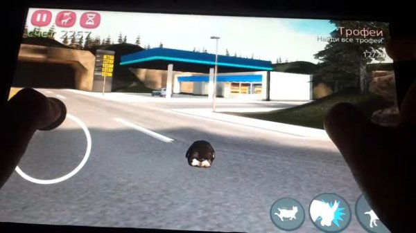 Симулятор пингвина