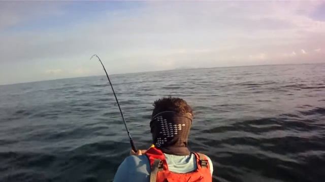 Kayak fishing for mackerel tuna, Queensland Australia смотреть онлайн