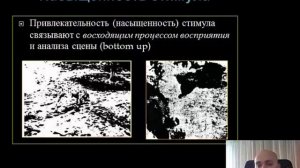 Психология внимания лекция 4 часть 2 ( Что привлекает наше внимание)