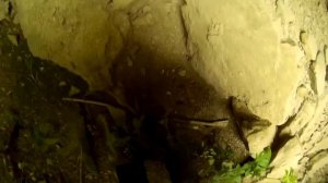 О кладе Степана Разина | Спуск в бездну | Нашли "останки" под скалой