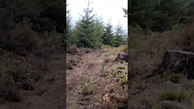 91 honda xr250r still runnin strong смотреть онлайн