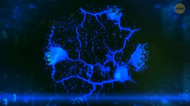 Причудливая красота плесени: странная, но завораживающая смотреть онлайн