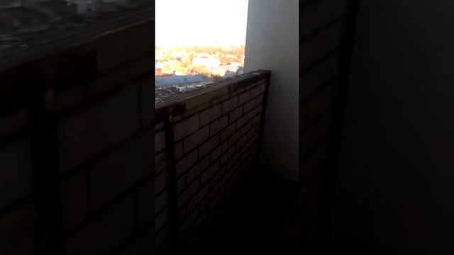 г. Владимир. ул. Ставровская д.4 смотреть онлайн