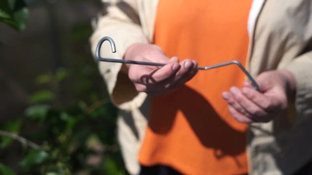 КАК УСКОРИТЬ И УЛУЧШИТЬ ПЛОДОНОШЕНИЕ ПЛОДОВЫХ. Очень простой и эффективный способ смотреть онлайн