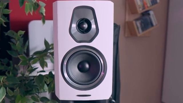 Audiophile Integrated Amplifier UNDER $1000 - Rotel A11 Tribute Review смотреть онлайн