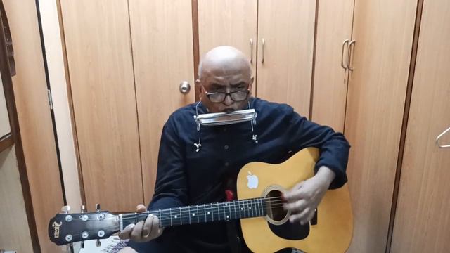 BLOWING IN THE WIND - Cover by Joy Thomas - Vocals-Guitar-Harmonica. смотреть онлайн