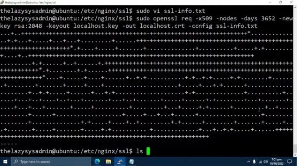 How to Install Self-Signed SSL Certificate on Nginx Web Server in Ubuntu 22.04 LTS Server - 2023