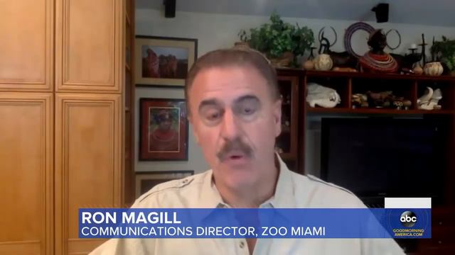 San Diego zoo arrest смотреть онлайн