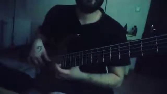 passiflora bebe (mustafaavsarvers) bass cover. смотреть онлайн