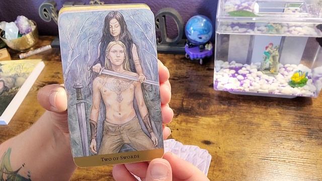 Tarot of The Hidden Realm | Unboxing and Flip Through смотреть онлайн