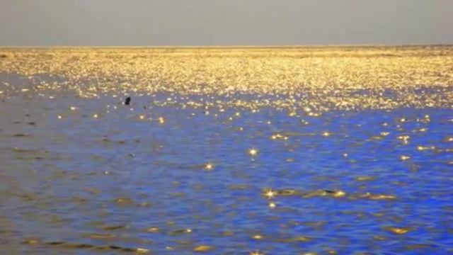 Gayatri Mantra-108 Times-गायत्री मंत्र смотреть онлайн